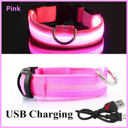 LED Glowing Dog Collars - Rechargeable