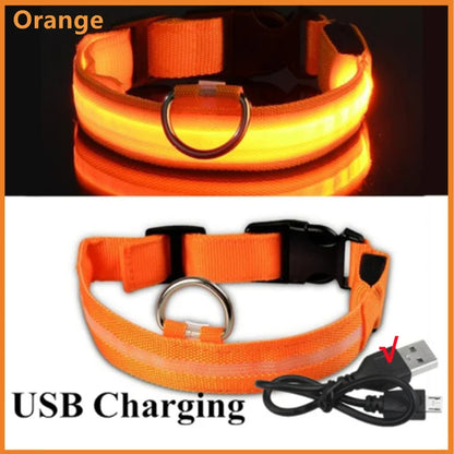 LED Glowing Dog Collars - Rechargeable