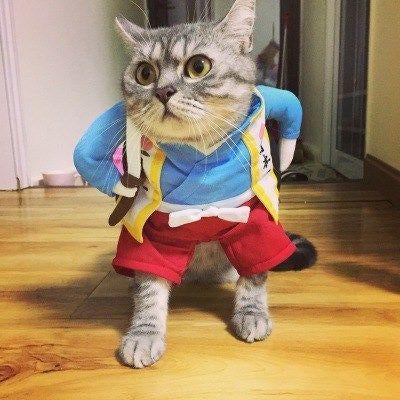 Funny Kitty Cat Costume