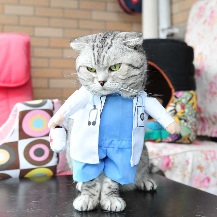 Funny Kitty Cat Costume