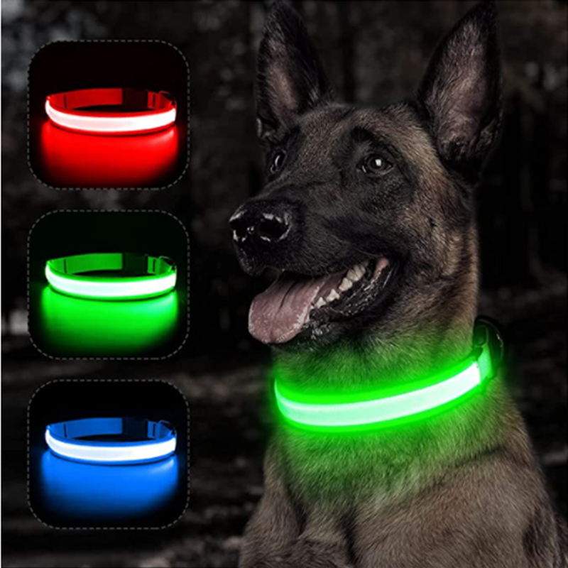 LED Glowing Dog Collars - Rechargeable
