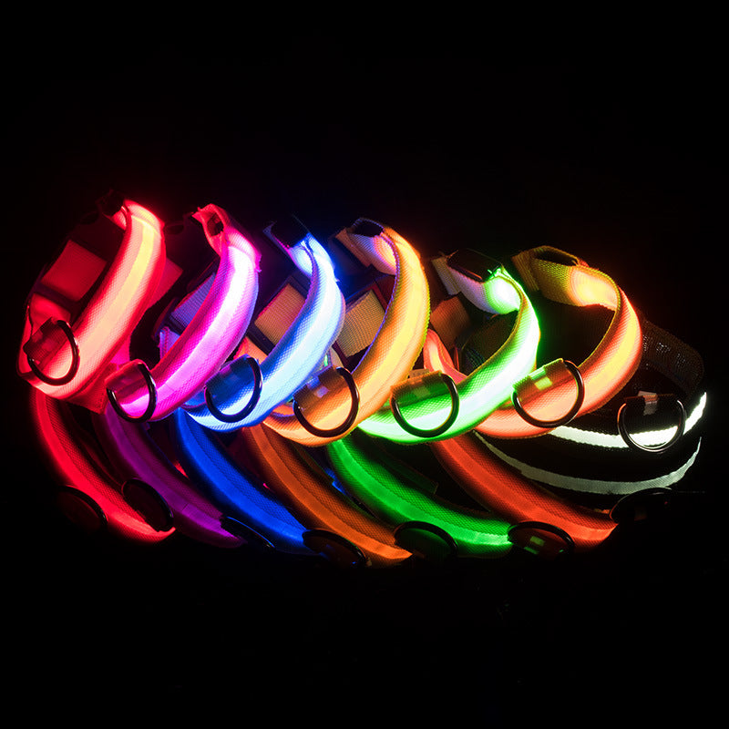 LED Glowing Dog Collars - Rechargeable
