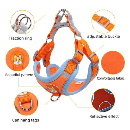 Pet Cat Harness and Leash Set