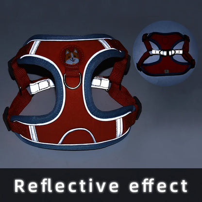 Pet Cat Harness and Leash Set