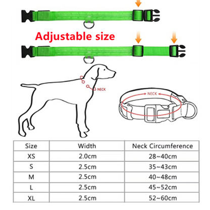 LED Glowing Dog Collars - Rechargeable