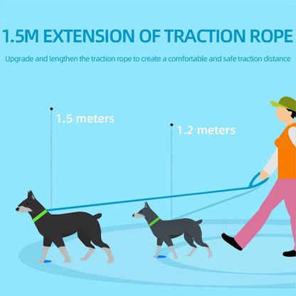 Pet Cat Harness and Leash Set