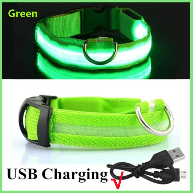 LED Glowing Dog Collars - Rechargeable