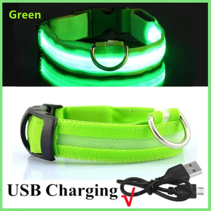 LED Glowing Dog Collars - Rechargeable
