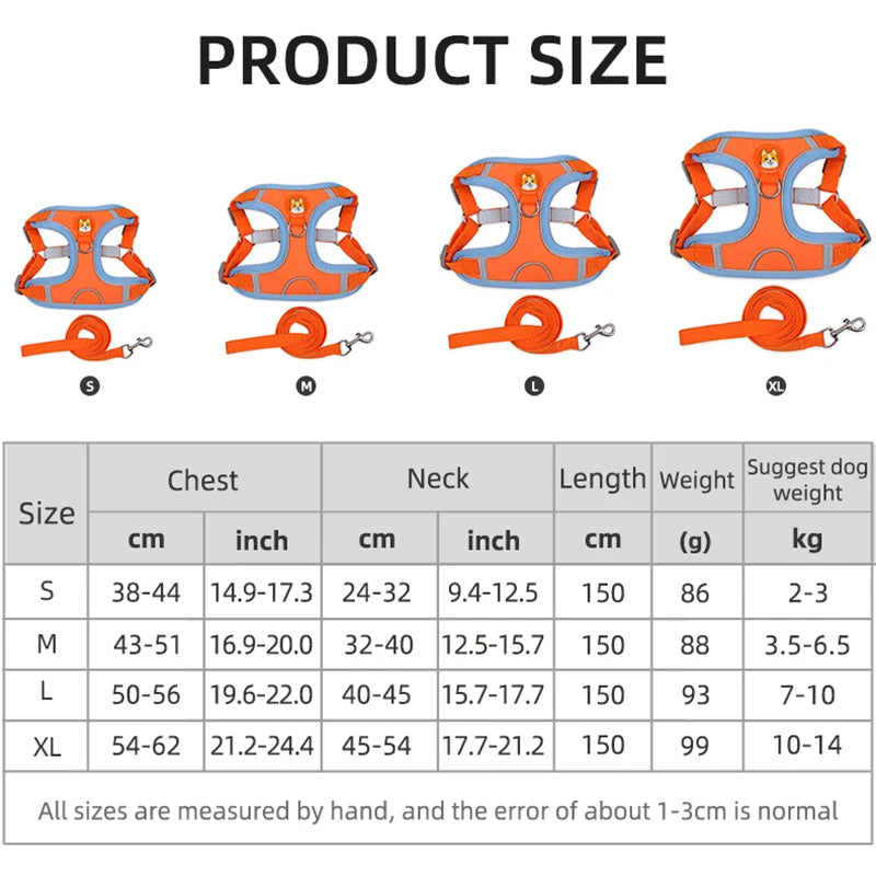 Pet Cat Harness and Leash Set