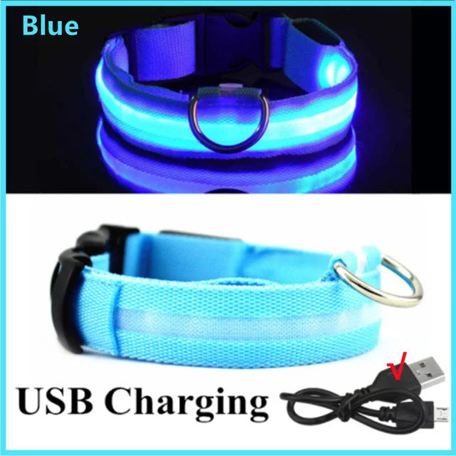 LED Glowing Dog Collars - Rechargeable