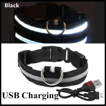 LED Glowing Dog Collars - Rechargeable